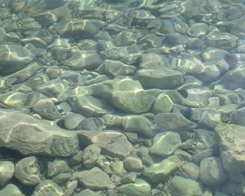 камни в реке