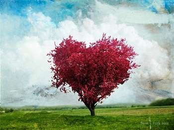 Дерево в форме сердца
