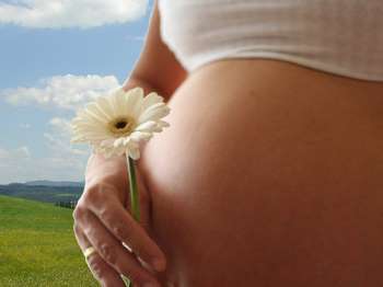 Беременная девушка держит ромашку
