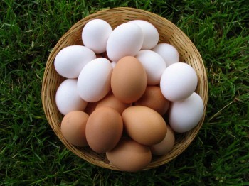 Проверка порчи яйцом
